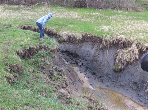 How Wetlands Protect Communities During Floods Wisconsin Wetlands