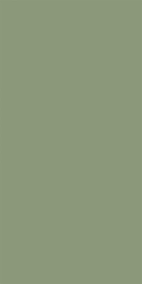 Olive Green Paint Colors My Xxx Hot Girl