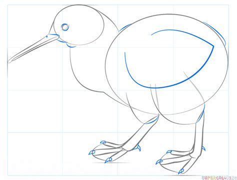 And since the feathers of a bird look like fine wool, then from the side it looks like a haystack. How to draw a kiwi bird | Step by step Drawing tutorials