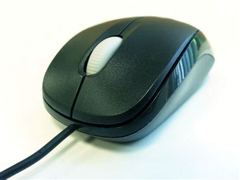 Mouse Free Stock Photo - Public Domain Pictures