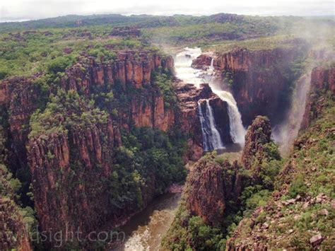 Twin Falls In The Wet Season Kakadu National Park Wild Sight