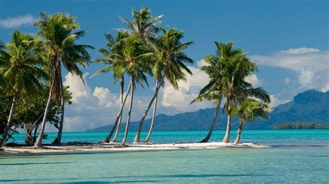 Tahaa Travel Guide Vacations And Honeymoons