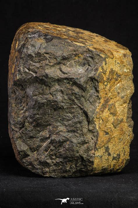 Huge Almost Complete Nwa Enstatite Chondrite Meteorite 5105g Jurassic