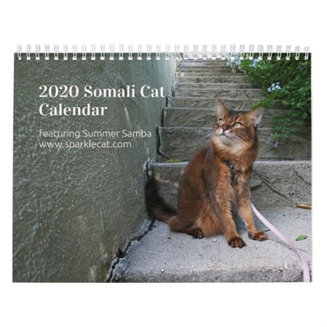 Somali Cat 2020 Calendar Featuring Summer Samba