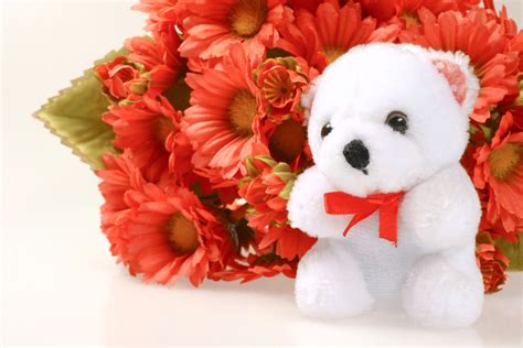 Flower Teddy Bear Wallpapers Top Free Flower Teddy Bear Backgrounds