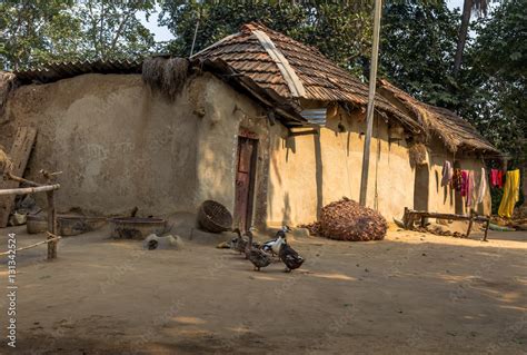 Indian Rural Village With Mud Houses And Ducks In The Courtyard