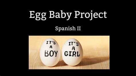 Ppt Egg Baby Project Powerpoint Presentation Free Download Id234682