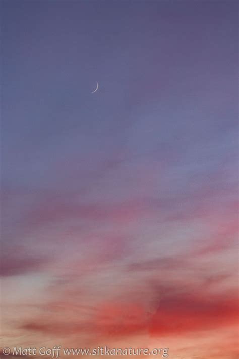 Colorful Sunset Crescent Moon Sitka Nature