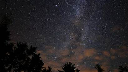 Sky Stars Night Nature Wood Dark Desktop