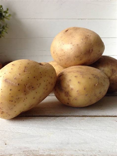 Aardappelen Monique Van Der Vloed