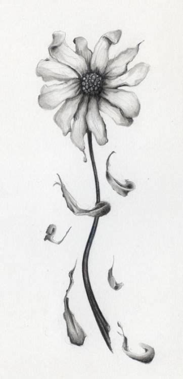 15 Ideas For Flowers Drawing Pencil Daisy Pencil Drawings Of Flowers