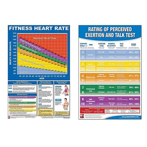 Productive Fitness Laminated Fitness Poster Heart Rate Guidelines