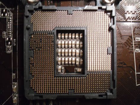 Motherboard CPU Pins Bent Overclock Net