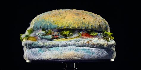 Why Burger King Is Proudly Advertising A Moldy Whopper Adweek