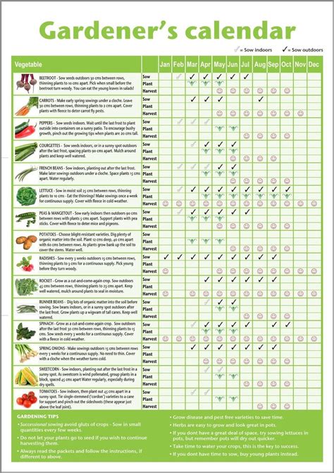 Plant Chart For Vegetables