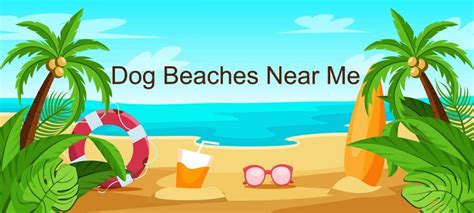 Dog Beaches Near Me Dog Friendly Beaches Near Me