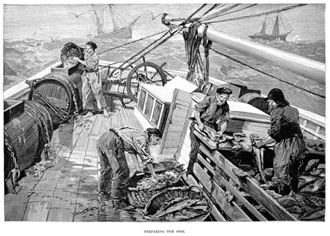 Cod Fishing 1891 Nfishermen On The Grand Banks Off The Coast Of