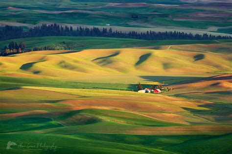 Wheat Fields Palouse Washington Alan Crowe Photography