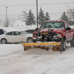 We did not find results for: Lawn Care, Tree Removal & Stump Grinding | Bolingbrook ...