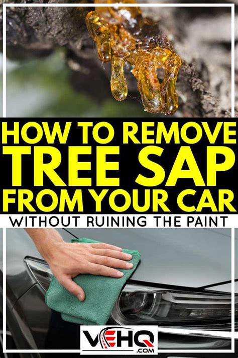 If you discover it early in the morning when. How To Remove Tree Sap From Your Car (Without Ruining The ...