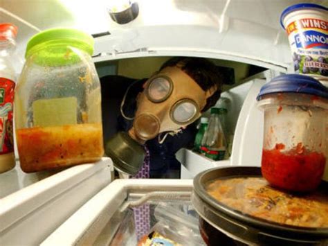 Is condensation normal on the bottom of the skincare fridge? Strategic Lessons from Cleaning My Fridge | Management Pro