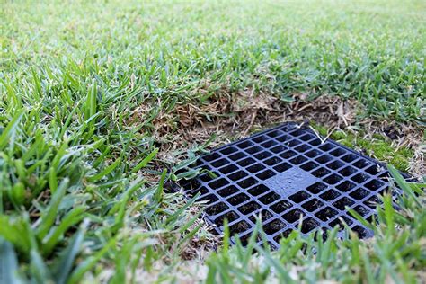 The Benefits Of A French Drain Accurate Lawn Leveling