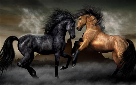 Find the best running horses wallpaper on getwallpapers. Two Horses Black And Brown Wallpapers Hd : Wallpapers13.com