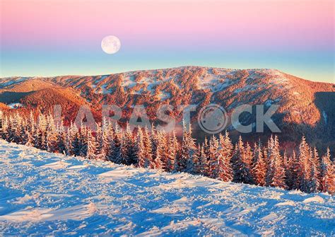 Frosty Sunrise In The Carpathian Mountains Roman Mikhaulyk Larastock