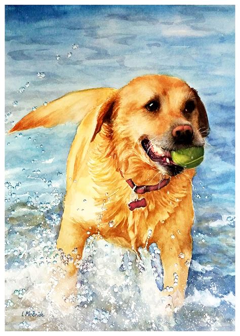 Yellow Lab Print Fine Art Prints Labrador Retriever Water Etsy