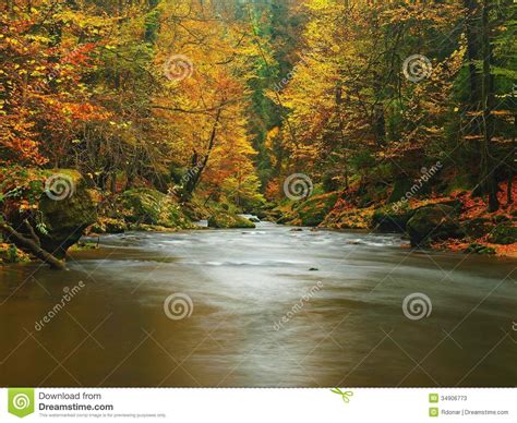 Autumn Mountain River With Blurred Waves Fresh Green Mossy Stones