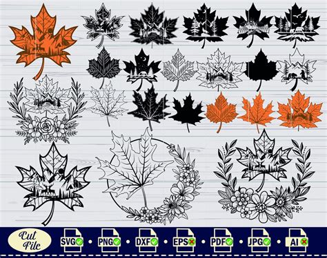 Maple Leaf Outline Svg 2 Maple Leaf Svg Autumn Svg Maple Etsy