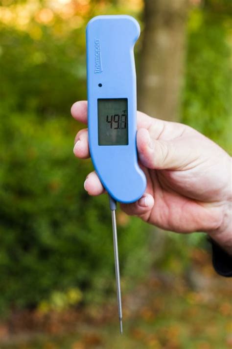 The Best Instant Read Thermometer Of 2022 Expert Reviews