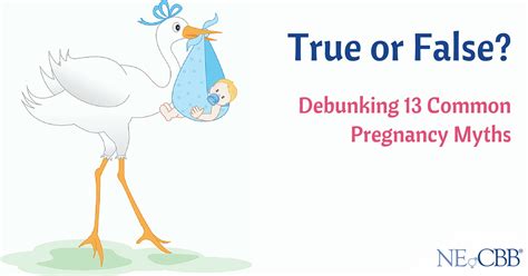 Debunking 13 Common Pregnancy Myths Necbb