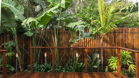 This garden uses black bamboo fencing rolls and large diameter bamboo poles. Bamboo Garden Decorating Ideas | Design Trends - Premium PSD, Vector Downloads