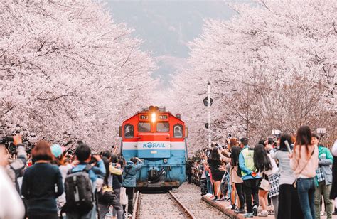10 Best Places To Visit In South Korea Away And Far