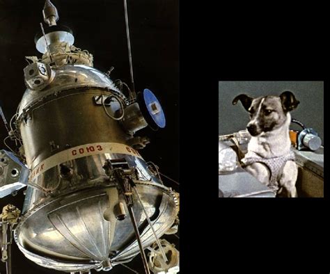 Laika Space Rocket History