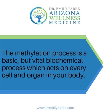 methylation and mthfr a simplified view on a confusing process methylation medicine quotes