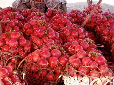 Kandhari Anar Pomegranate A Fruit From Heaven