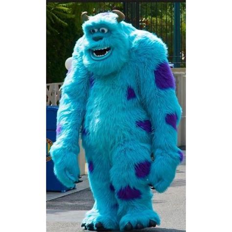 Monster Sully Mascot Costume