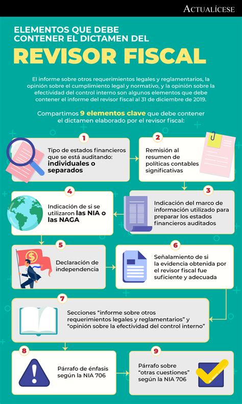 Elementos Del Dictamen Del Revisor Fiscal Bajo Nia