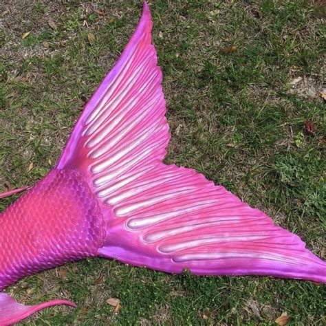 Mertailor Mermaid Tails By Eric Ducharme Pretty In Pink Finishing Up