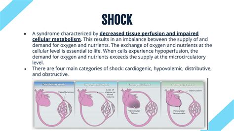 Solution Nursing Hypovolemic Shock Notes Studypool