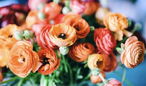 Proflowers.com has been visited by 10k+ users in the past month Flower Delivery Perth %%sep%% Floret Boutique - Perth CIty ...