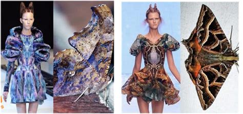 Influence Of Nature In Fashion Collections Fashion Inspired By Nature