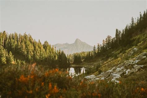 Adventures In The Mountains Of Washington On 35 Mm Film Nature Film