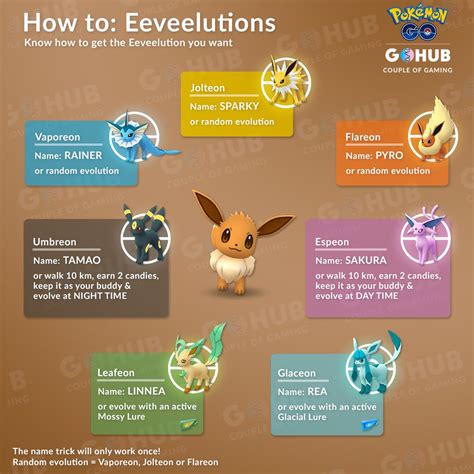 Eevee Evolutions Pokemon Eevee Pokemon Eeveelutions Eevee Evolutions