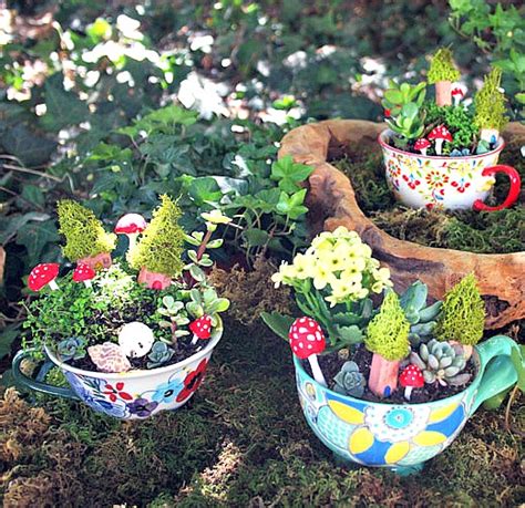 9 Cute Tea Cup Gardens A Cultivated Nest