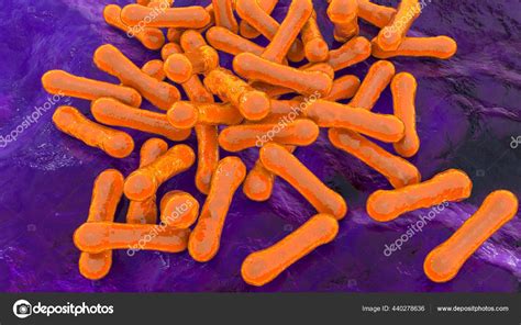Bacteria Corynebacterium Diphtheriae Gram Positive Rod Shaped Bacterium