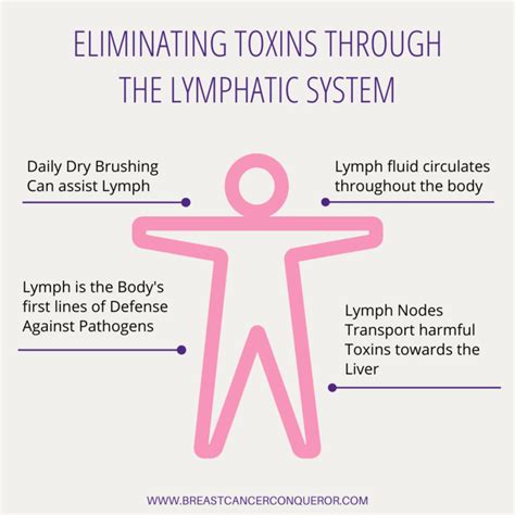 Lymphedema How To Prevent And Heal It Naturally Breast Cancer Conqueror