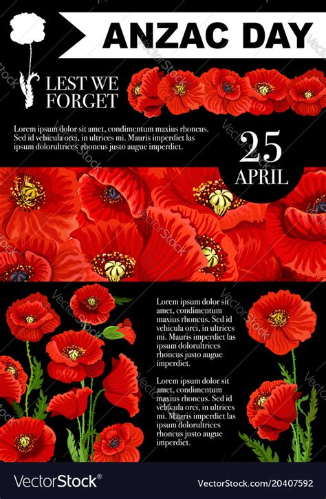 anzac day lest we forget poppy poster royalty free vector